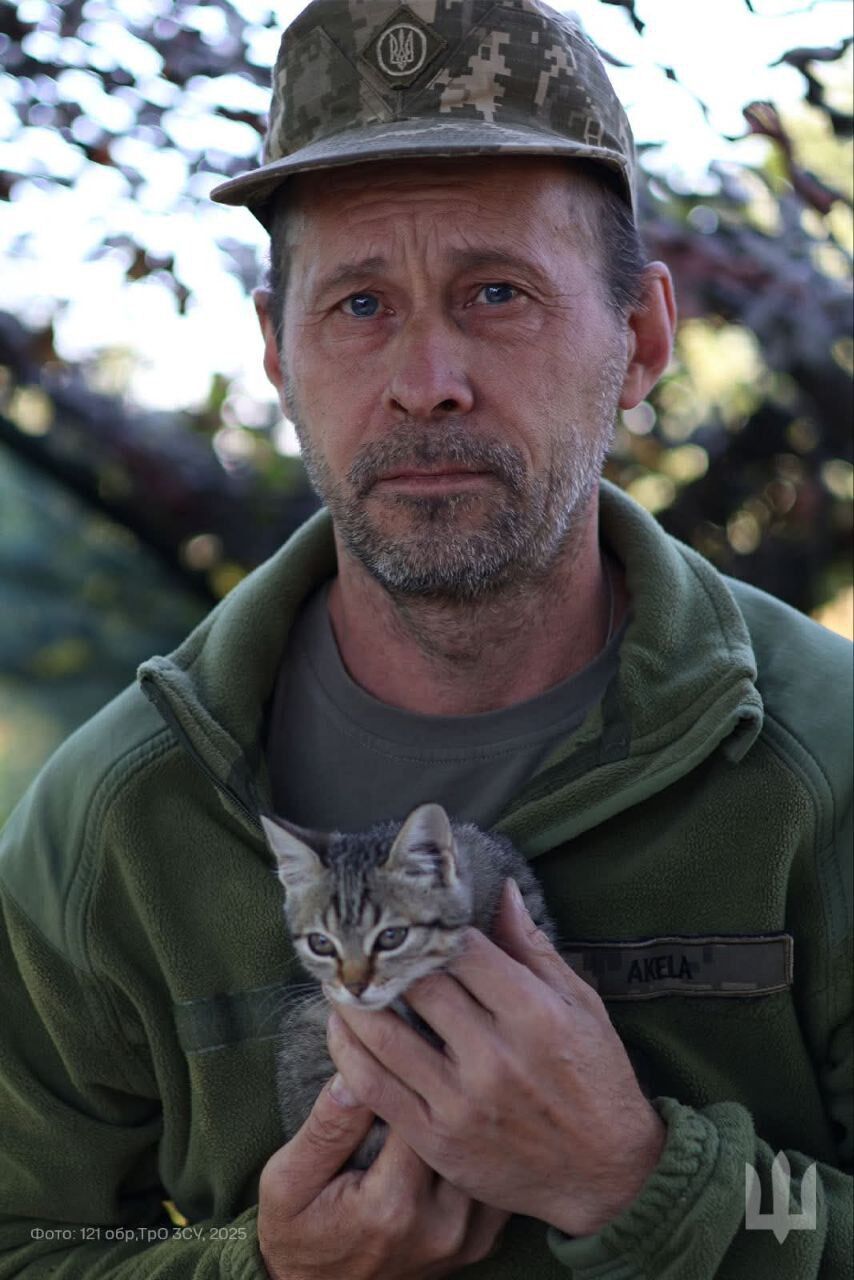 Пушистые талисманы: в Генштабе показали, как котики оберегают бойцов на фронте. Фото