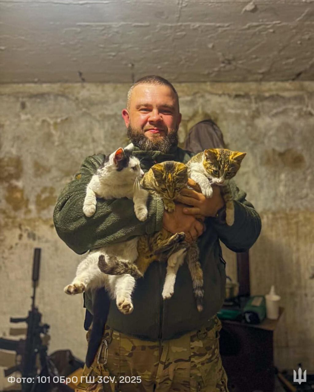 Пушистые талисманы: в Генштабе показали, как котики оберегают бойцов на фронте. Фото