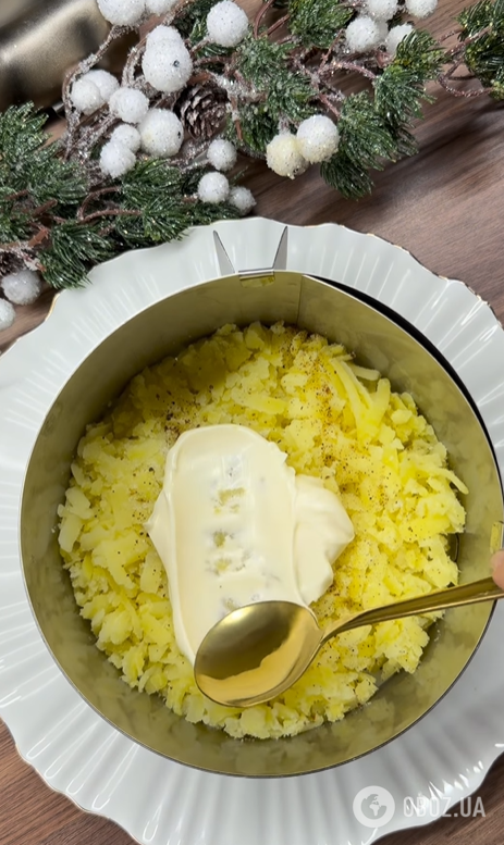 Замість звичних "Мімози" та "Шуби": рецепт смачного салату з лососем на Новий рік