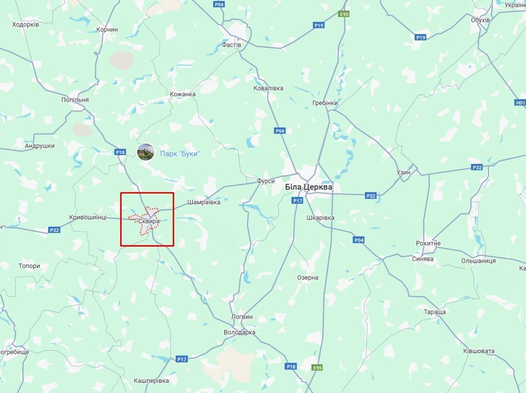 На Київщині легковик з’їхав у кювет та перекинувся: серед постраждалих є дитина. Фото та подробиці