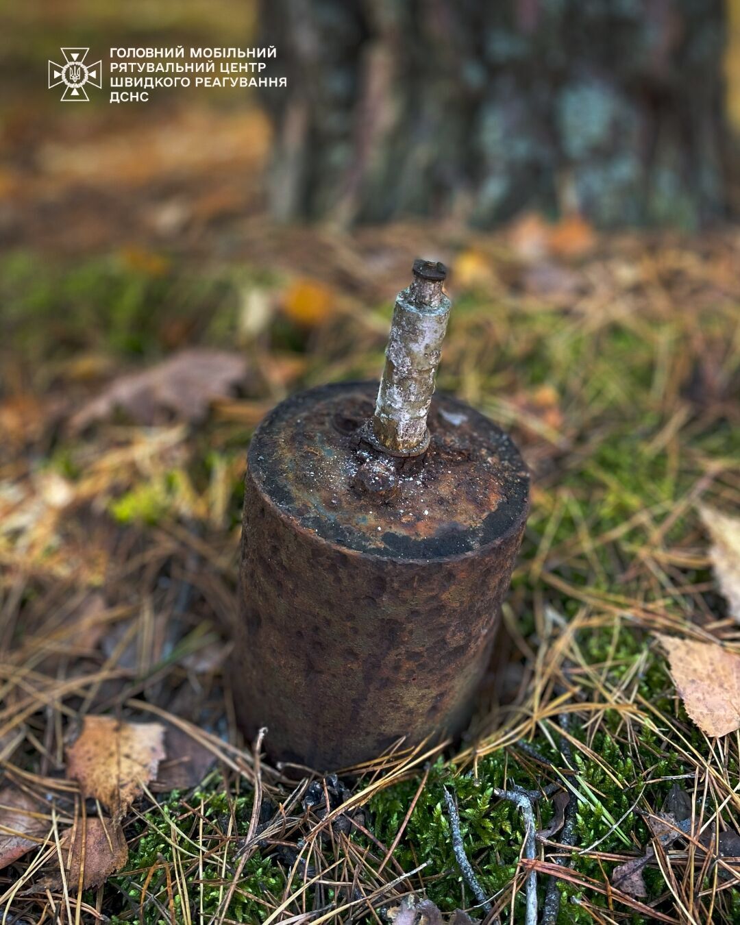 На Киевщине мужчина в лесу вместо грибов нашел "прыгающую мину". Фото