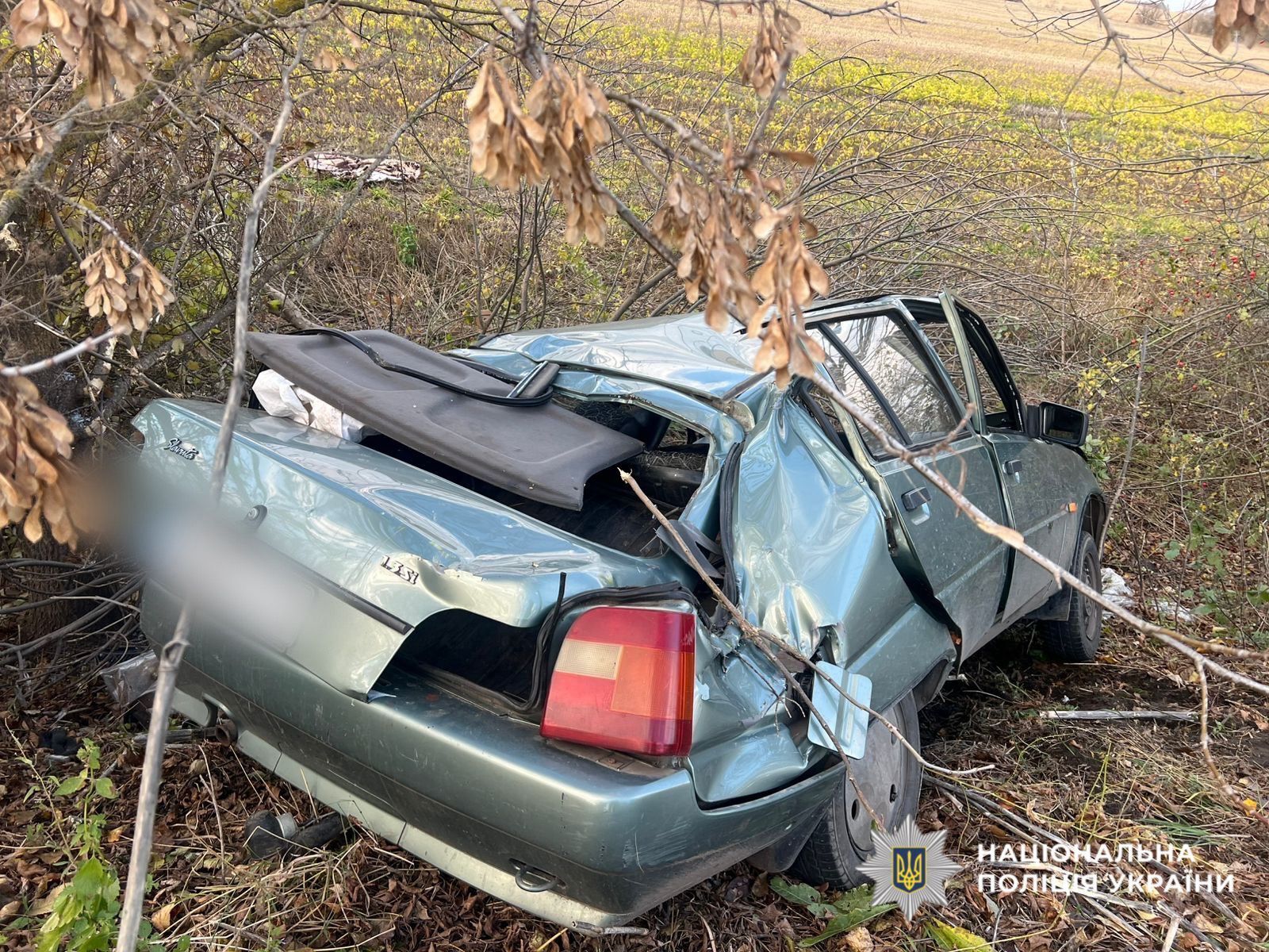 На Київщині легковик з’їхав у кювет та перекинувся: серед постраждалих є дитина. Фото та подробиці