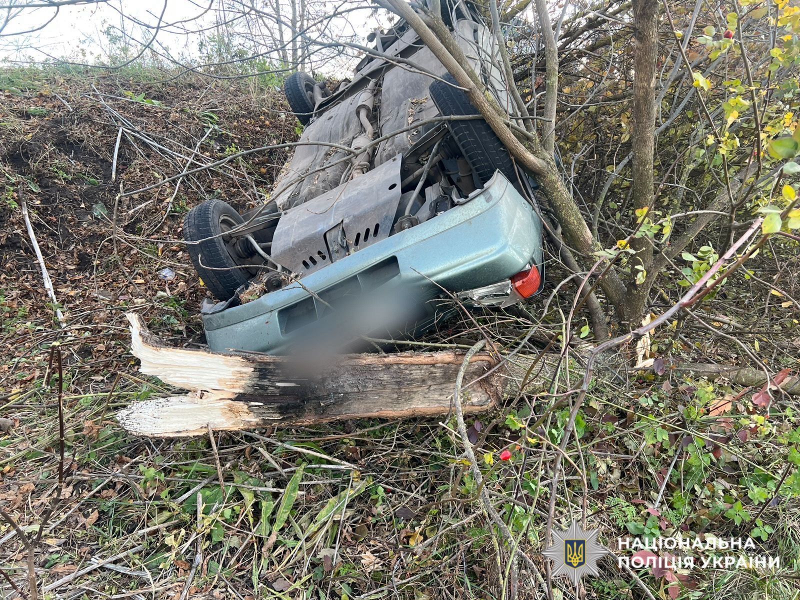 На Київщині легковик з’їхав у кювет та перекинувся: серед постраждалих є дитина. Фото та подробиці