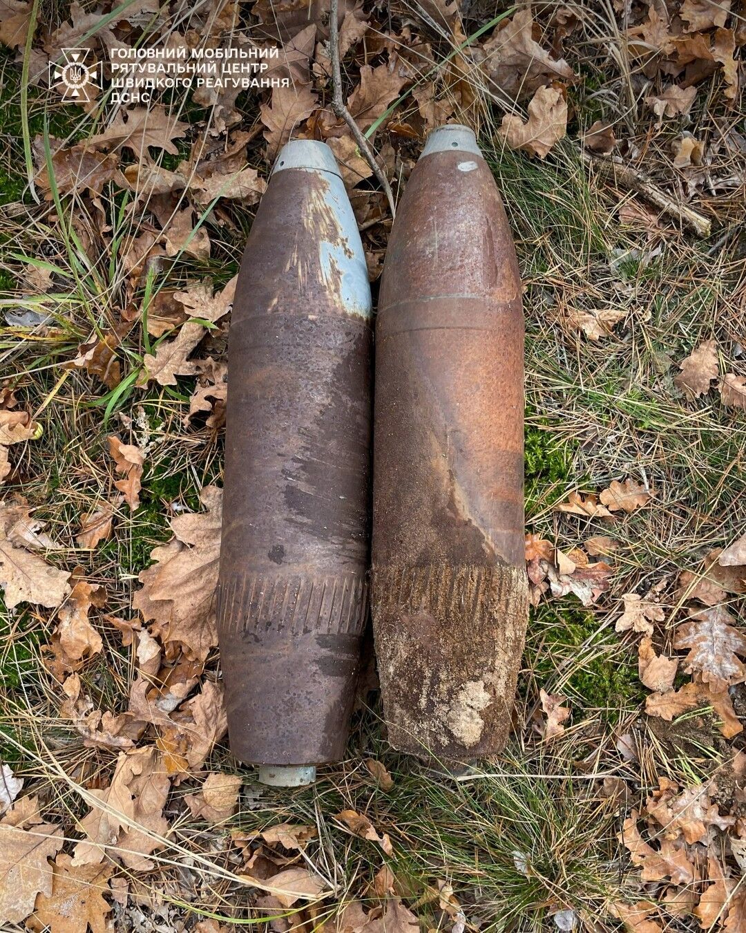 На Киевщине мужчина в лесу вместо грибов нашел "прыгающую мину". Фото