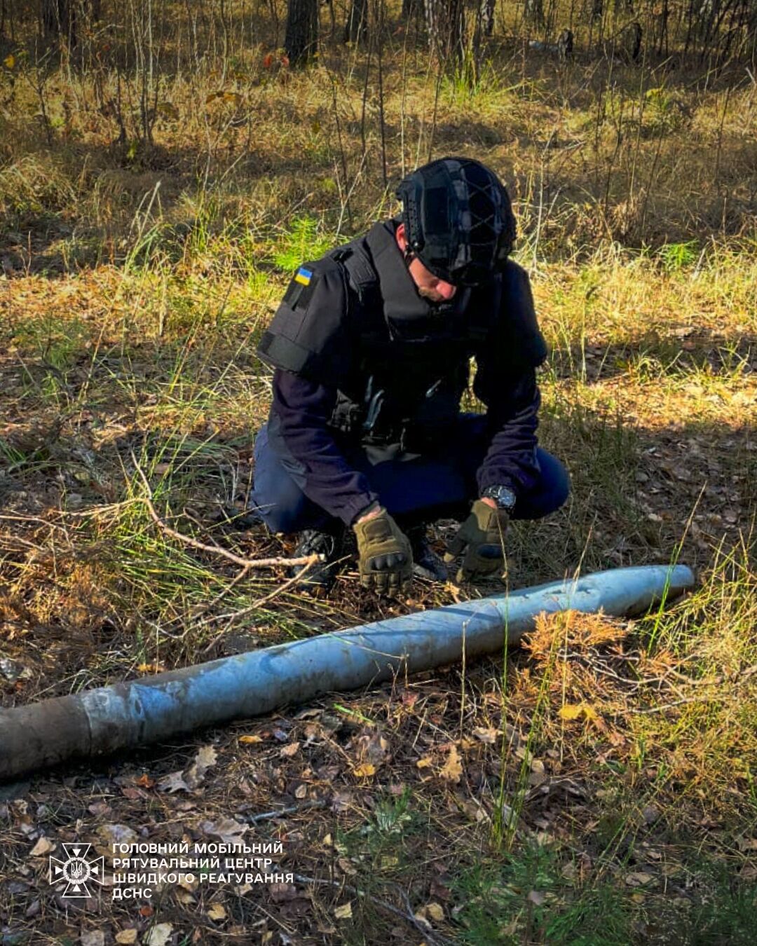 На Киевщине мужчина в лесу вместо грибов нашел "прыгающую мину". Фото