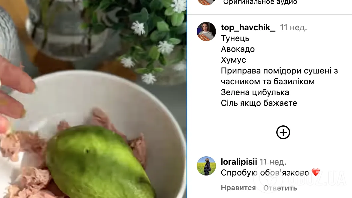 Полезная намазка из авокадо и тунца для перекуса: делимся простым рецептом