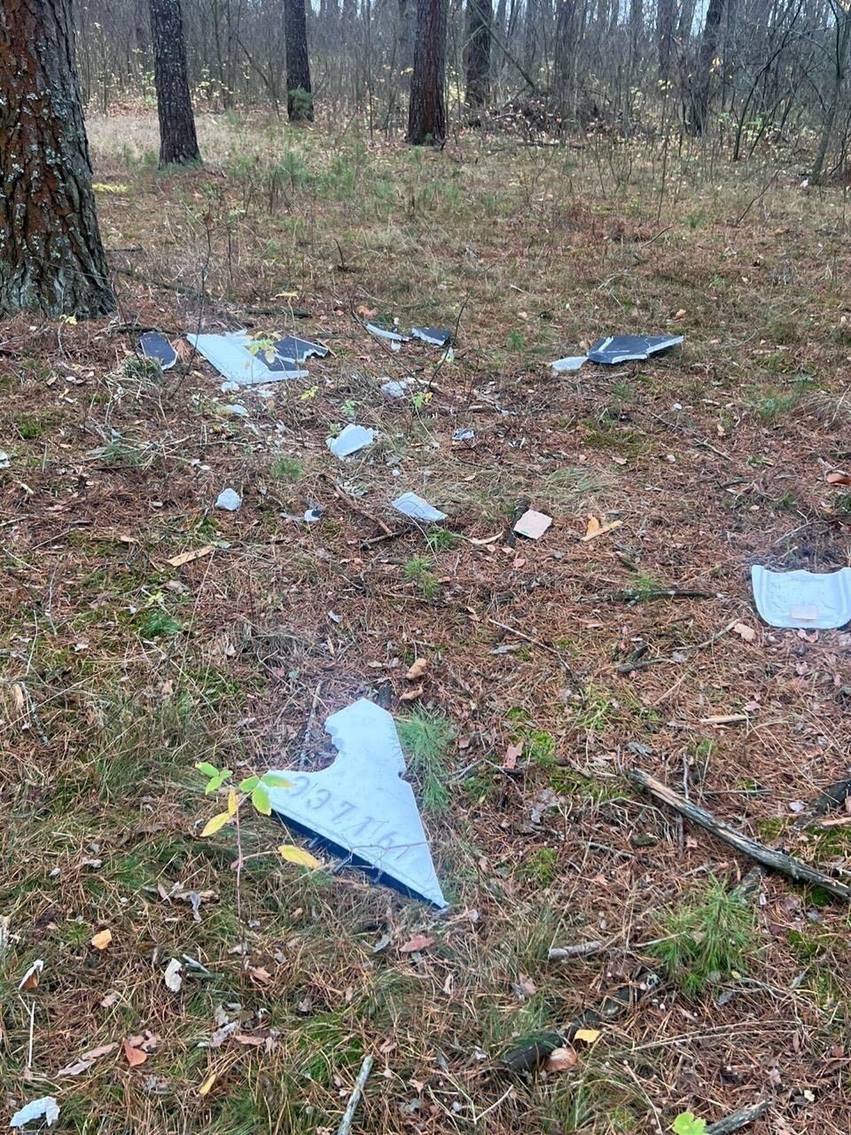 Наблизилися на небезпечну відстань: на Чернігівщині двоє підлітків зазнали поранень внаслідок детонації БПЛА. Фото