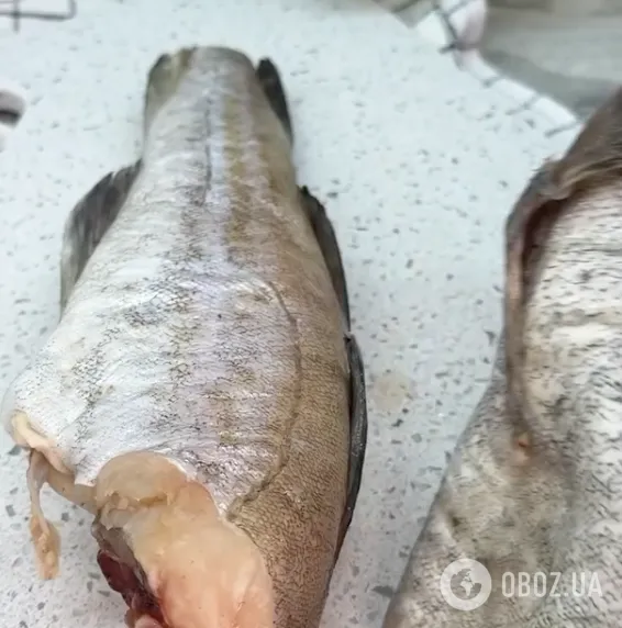 Як смачно приготувати корисний хек у соусі: рецепт бюджетної риби для обіду та вечері