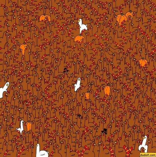 Где яблоко? Непростая головоломка на внимательность