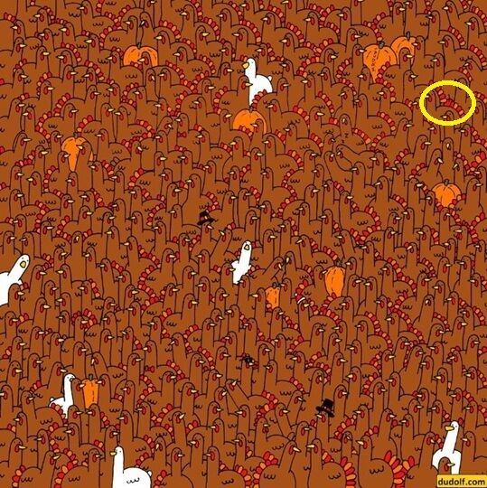 Где яблоко? Непростая головоломка на внимательность