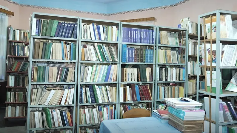 На Буковині знайшли школу, де в 4 класі навчається всього одна дитина. Фото, відео