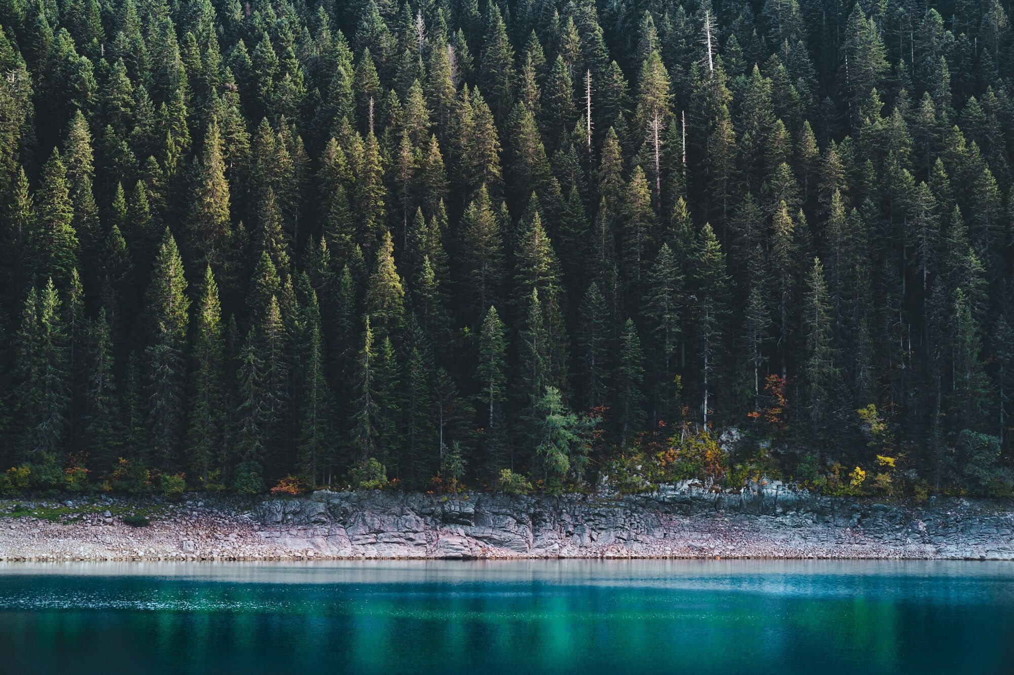 Від сирних печер у Франції до санчат у Польщі: топ-5 місць для незабутнього відпочинку взимку