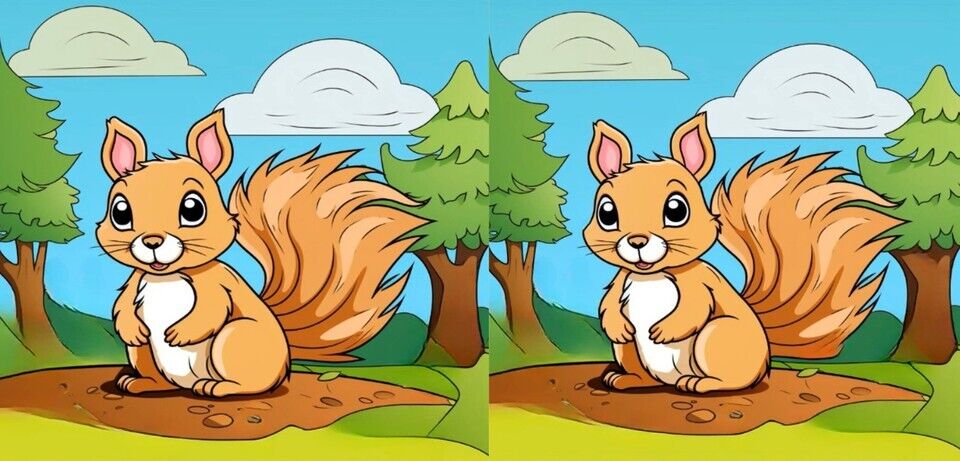 Есть всего 23 секунды: найдите 3 отличия на рисунках с белками