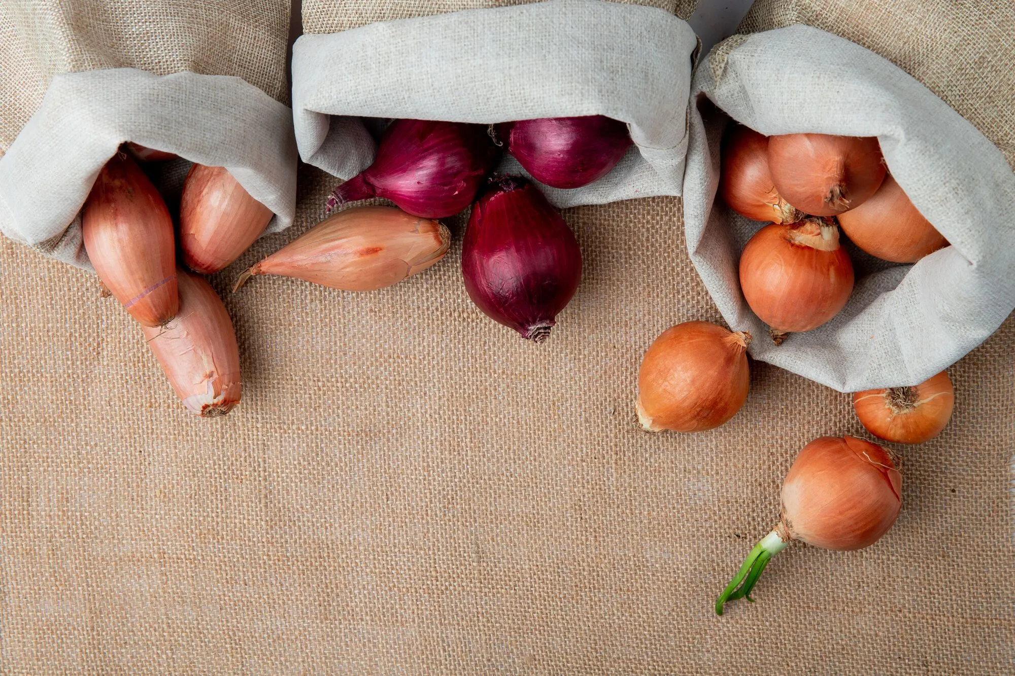 Не храните лук и чеснок в холодильнике: какое место лучше выбрать