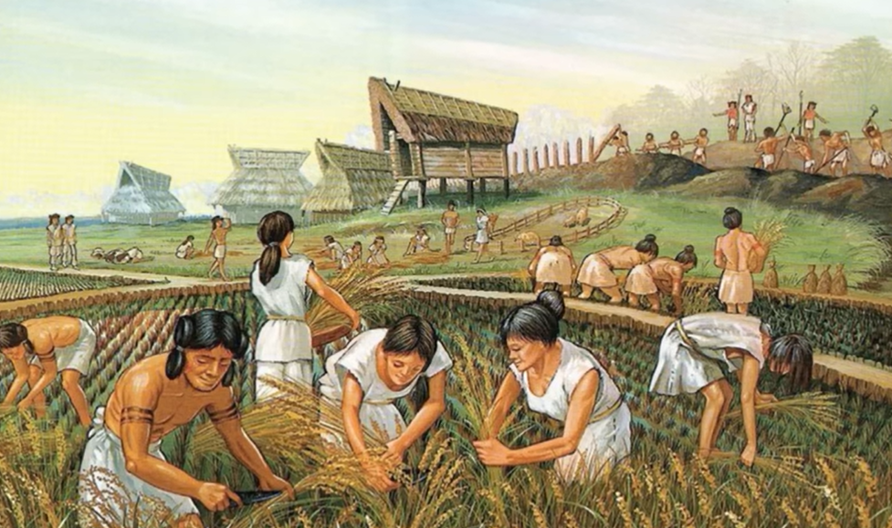 В Україні могло існувати одне з найбільших первісних протоміст на Землі: що відомо про розкопки