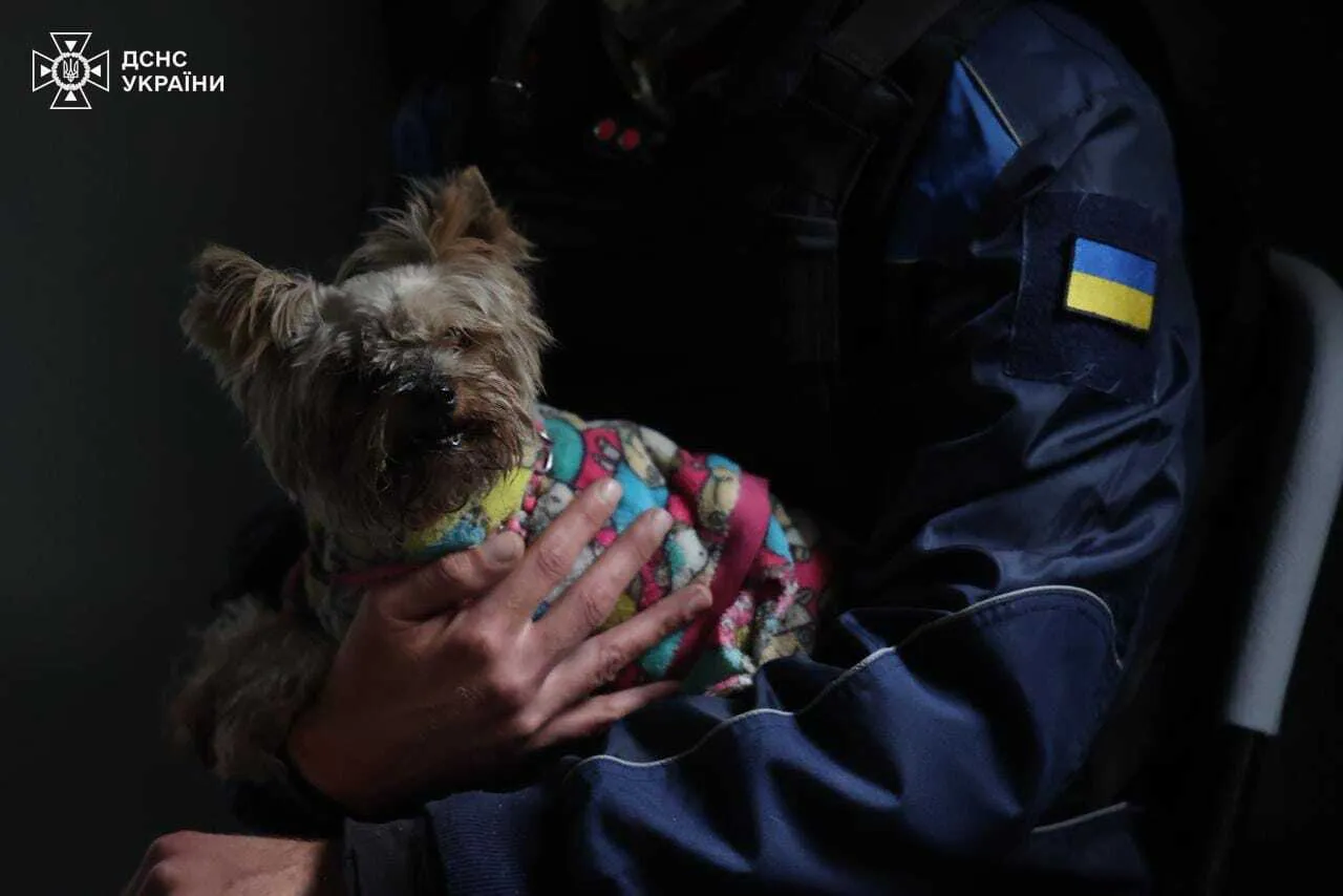 Пекельна ніч у Дніпрі. РФ била ракетами й БПЛА по місту: є влучання в багатоповерхівку, загинули три людини