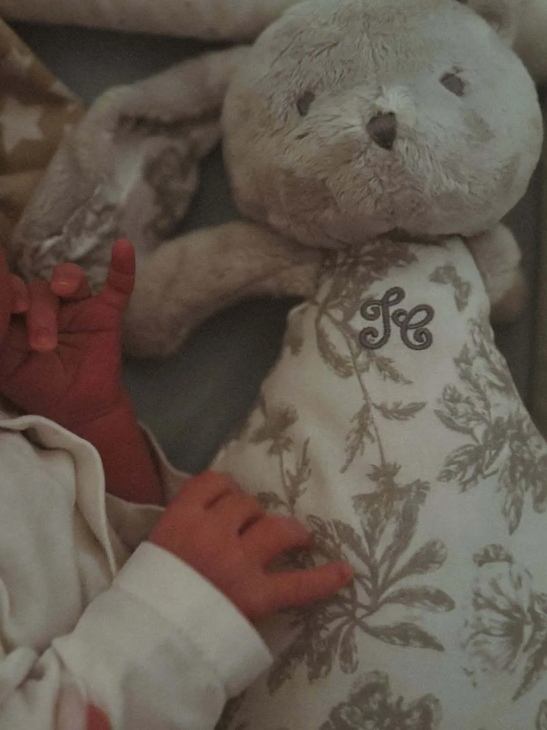 36-летняя жена Реброва родила ему третьего ребенка. Фото