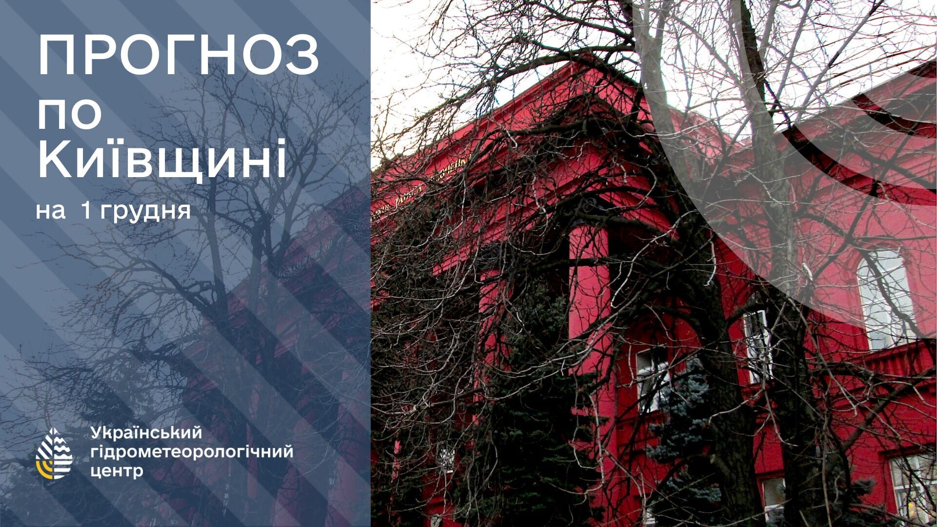 Местами осадки и туман: синоптики сказали, какой будет погода в первый день зимы. Карта