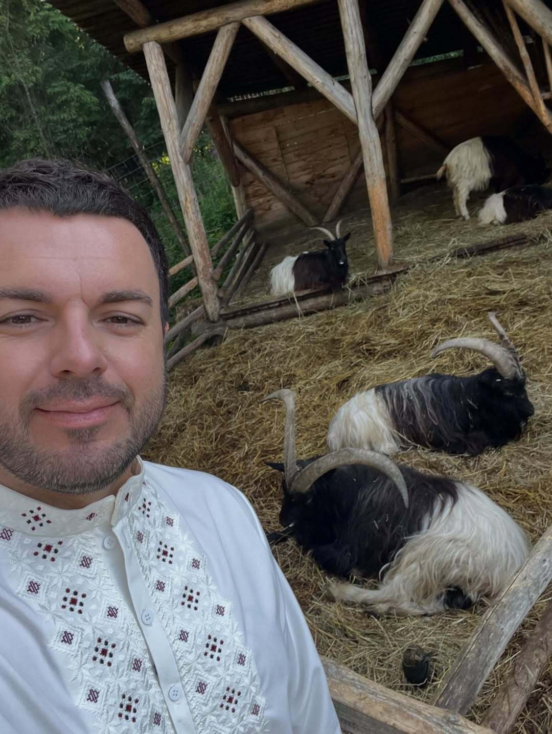 Задний план всегда интереснее: на свидании с "холостяком" в кадр вбежал парень, который спасался от баранов, и забрал всю "славу" себе