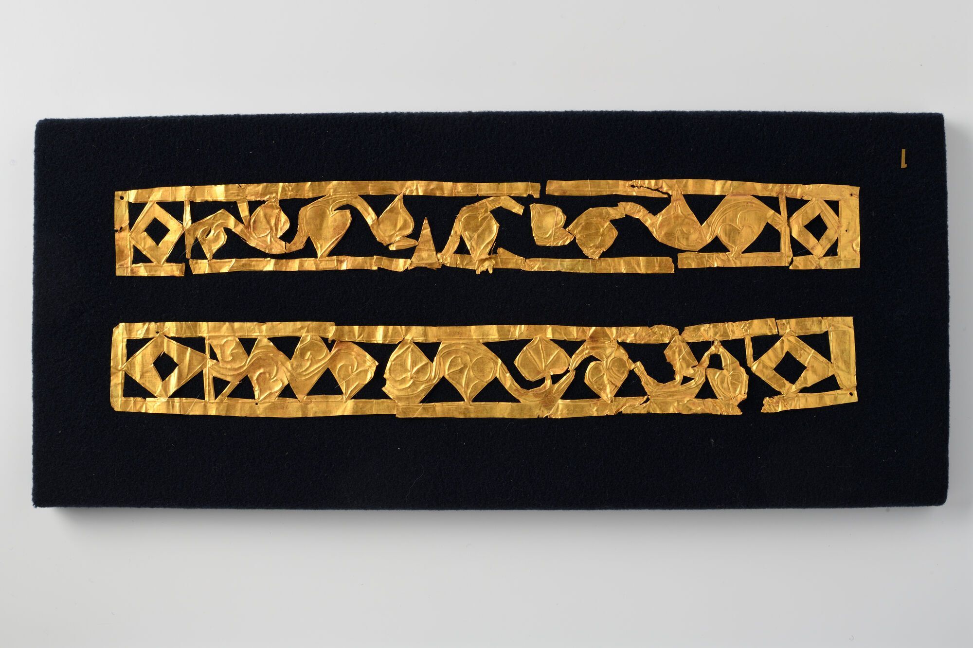 Кримське золото, "Щедрик" у виконанні хору "Гомін" та зимові фотозони: Ukraine WOW оголосила про новий сезон і оновлення експозиції