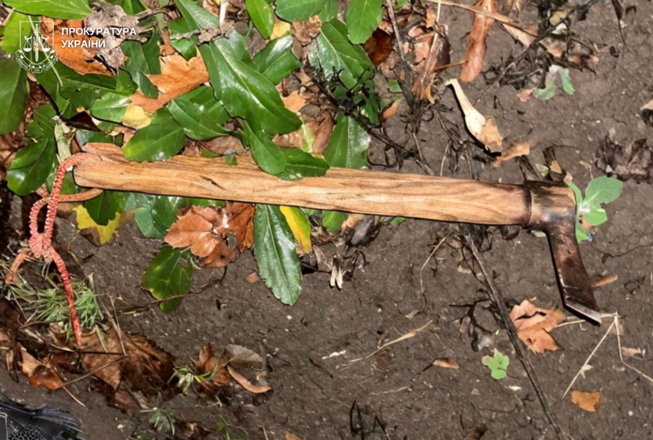 На Львовщине полицейские задержали злоумышленника, который напал на военного ТЦК с топором: какое наказание грозит