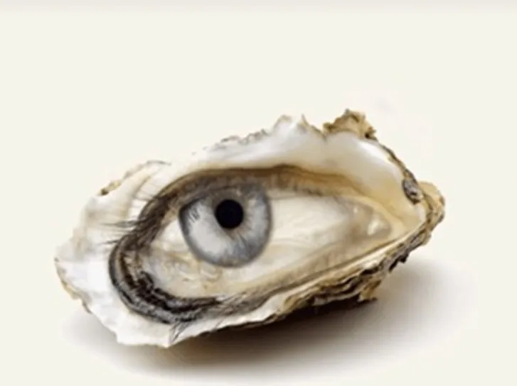 Что увидели первым? Тест раскроет, ждет ли вас удача в жизни