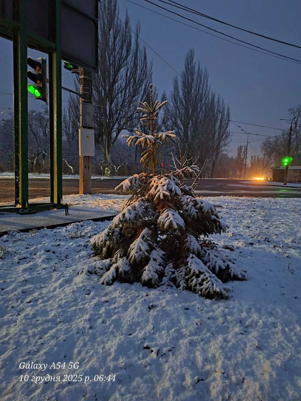 Пришла зима: в Украине в ряде областей выпал снег. Фото и видео