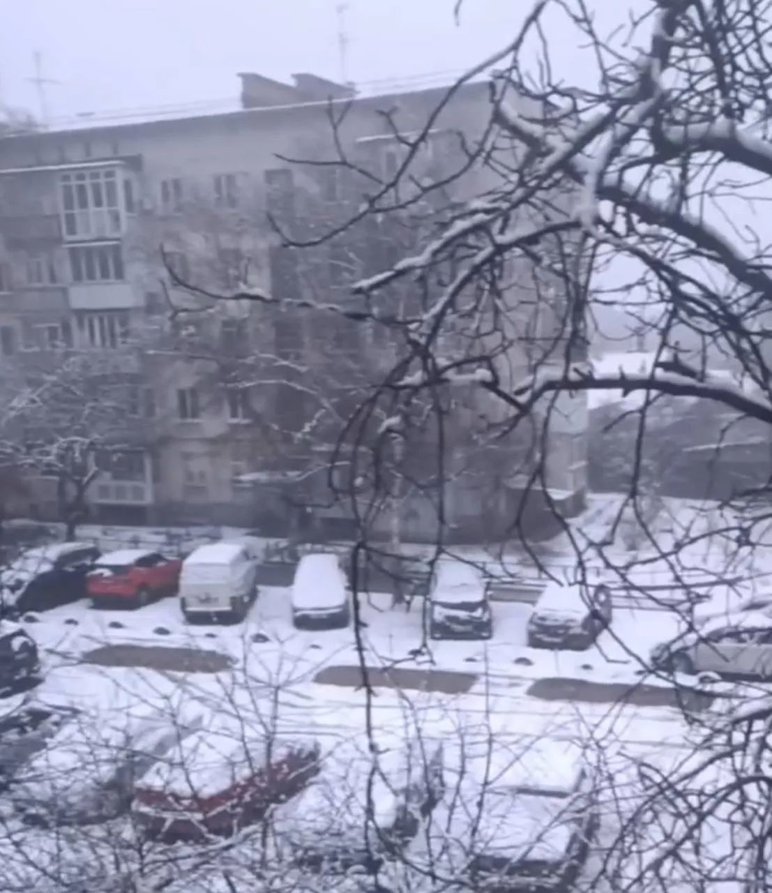 Пришла зима: в Украине в ряде областей выпал снег. Фото и видео