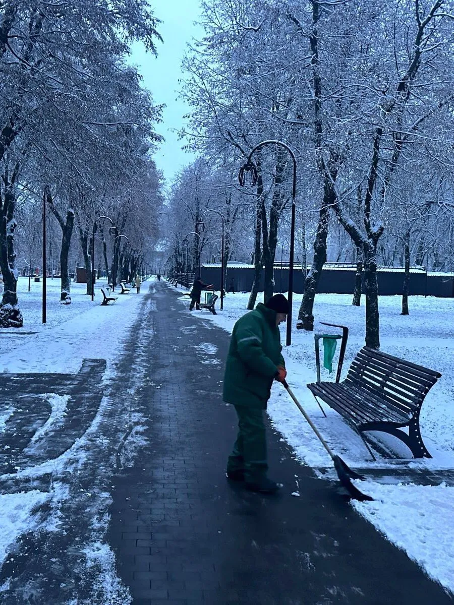 Пришла зима: в Украине в ряде областей выпал снег. Фото и видео