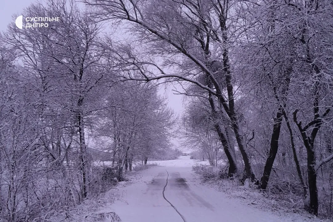 Пришла зима: в Украине в ряде областей выпал снег. Фото и видео