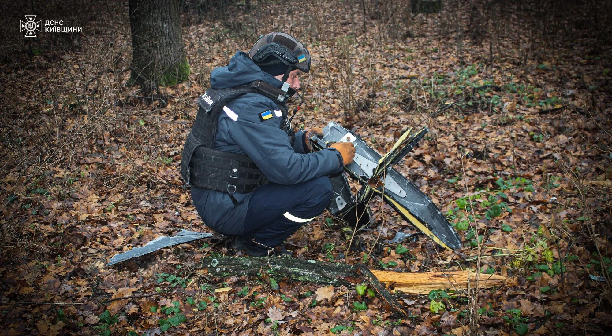 У лісі на Київщині знайшли бойову частину російського "Шахеда". Фото