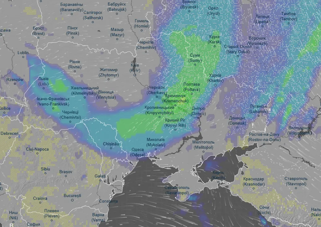 Пришла зима: в Украине в ряде областей выпал снег. Фото и видео