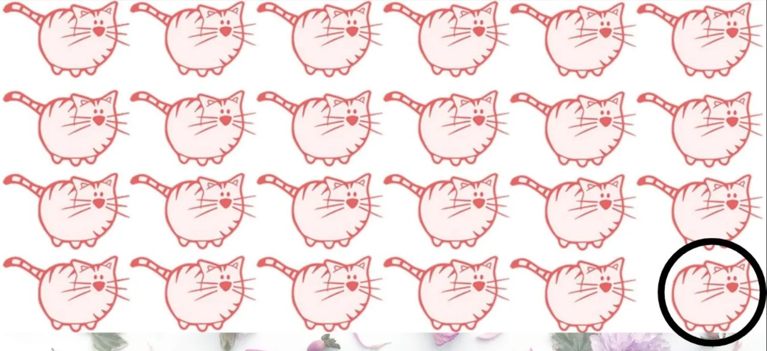 Знайдіть зайвого кота за 5 секунд: головоломка