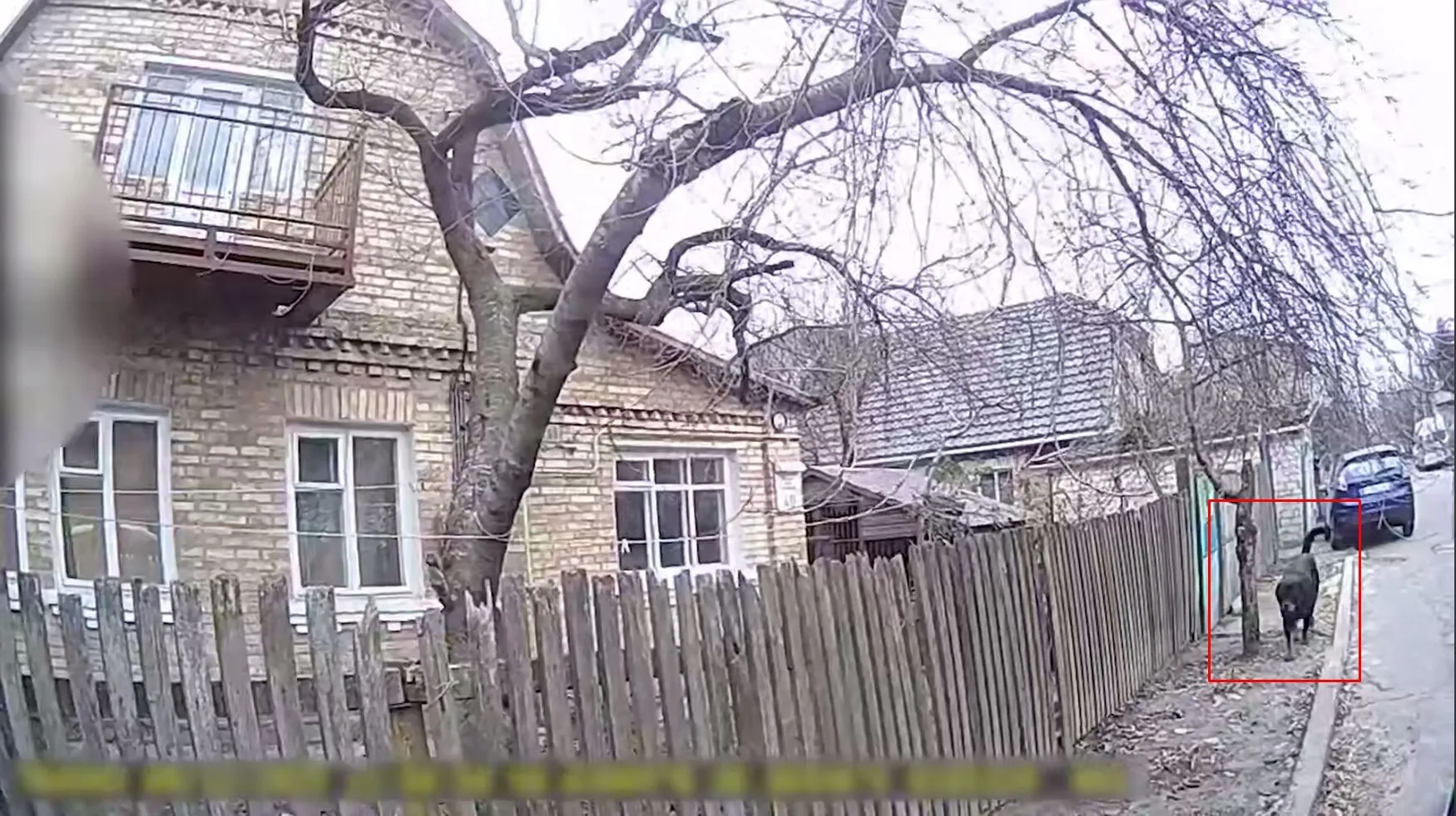 В Киеве полицейский застрелил агрессивную собаку, защищая женщину и ребенка. Видео и подробности