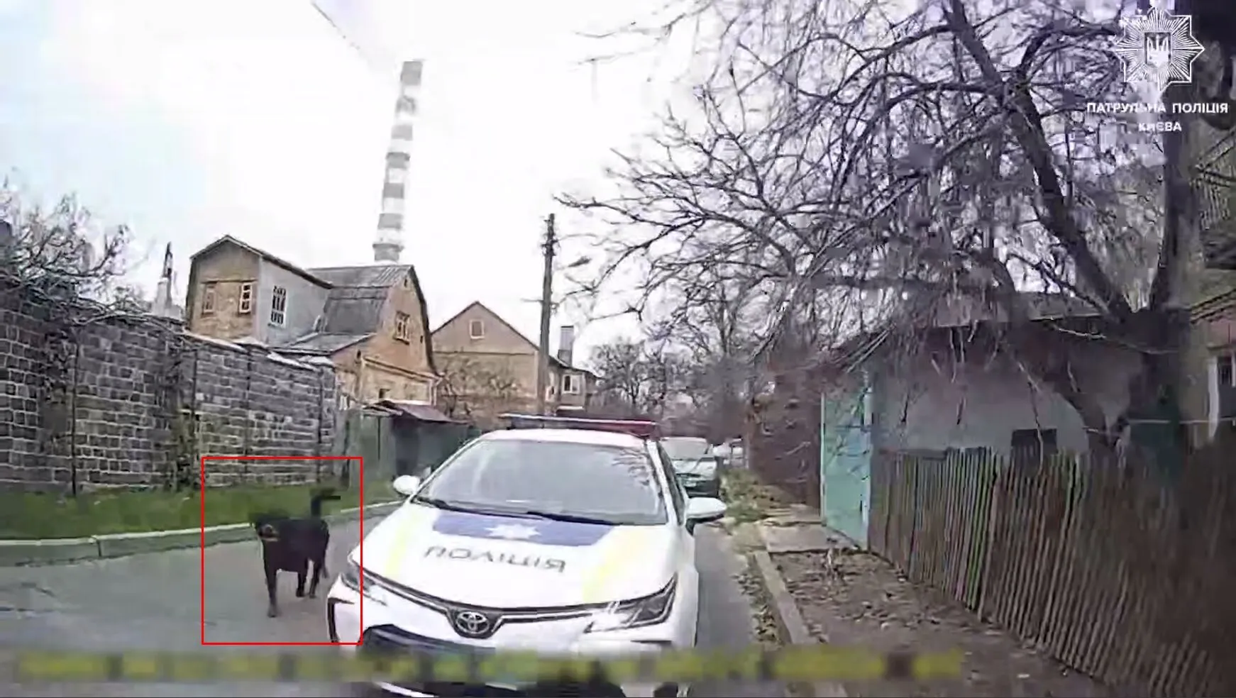 В Киеве полицейский застрелил агрессивную собаку, защищая женщину и ребенка. Видео и подробности