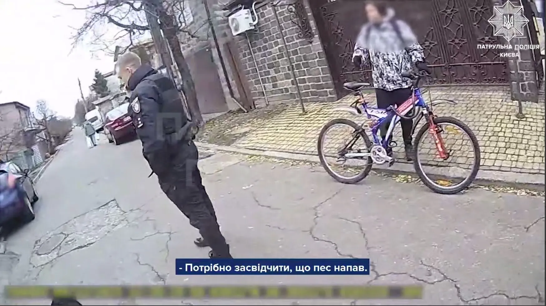 В Киеве полицейский застрелил агрессивную собаку, защищая женщину и ребенка. Видео и подробности