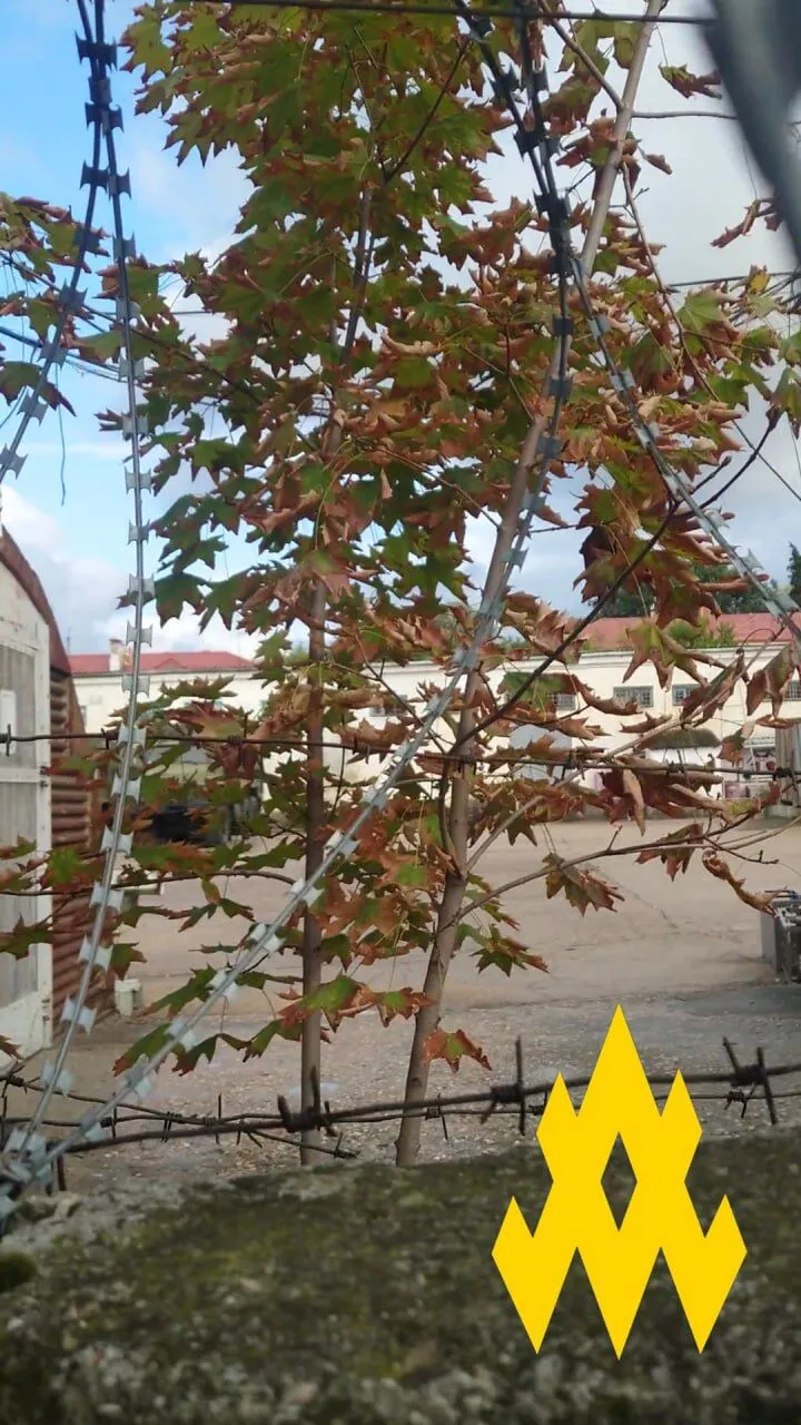 Українські партизани розвідали ключовий логістичний вузол Чорноморського флоту в окупованому Севастополі. Фото