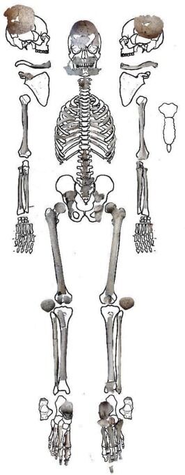 Подросток выжил после нападения льва: в Болгарии обнаружили уникальную находку. Фото