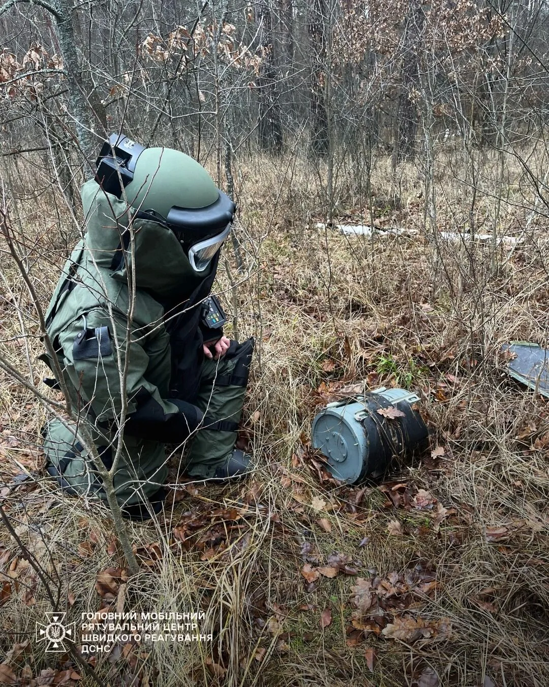 На Киевщине лесник нашел боевую часть российского "Шахеда". Подробности и фото