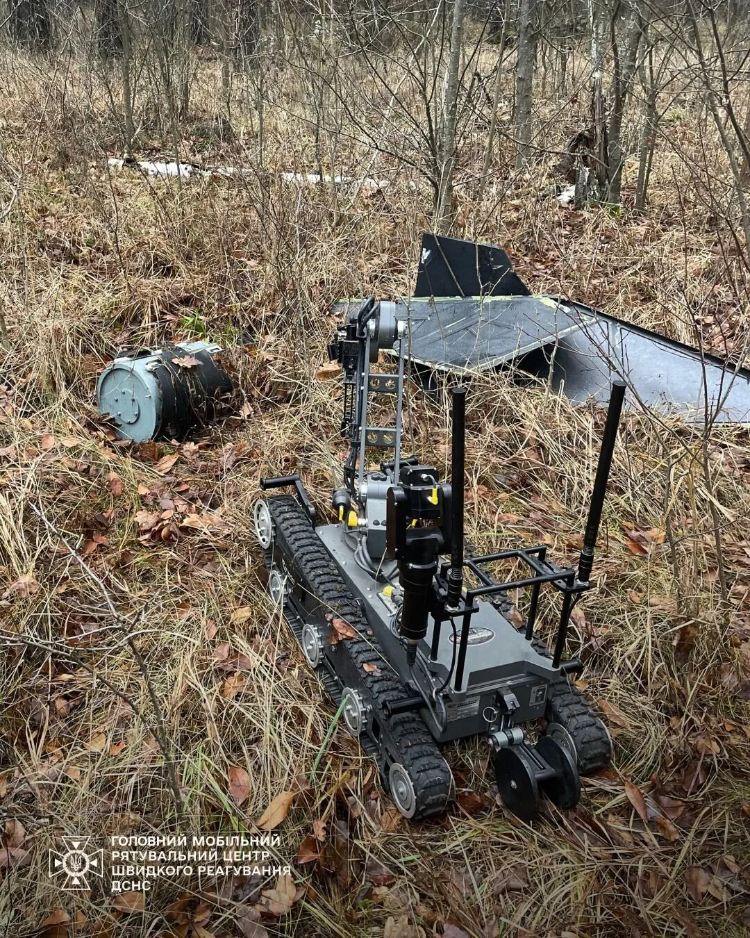 На Киевщине лесник нашел боевую часть российского "Шахеда". Подробности и фото