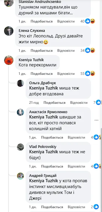 Том і Джеррі "мобілізувалися": мережу розвеселили кадри із бліндажу прикордонників. Відео