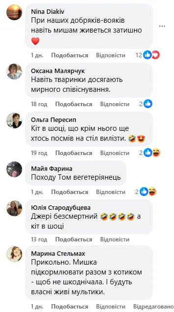 Том і Джеррі "мобілізувалися": мережу розвеселили кадри із бліндажу прикордонників. Відео