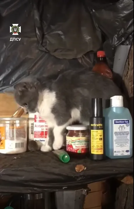 Том і Джеррі "мобілізувалися": мережу розвеселили кадри із бліндажу прикордонників. Відео