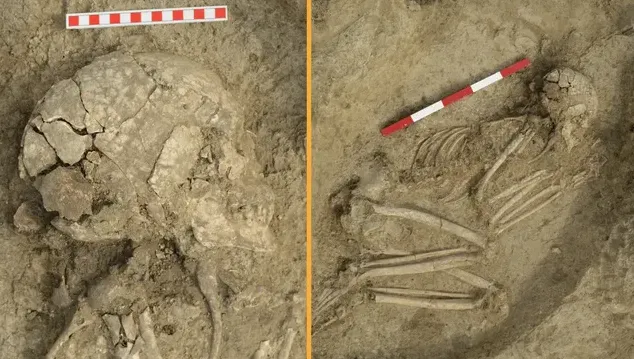 Подросток выжил после нападения льва: в Болгарии обнаружили уникальную находку. Фото