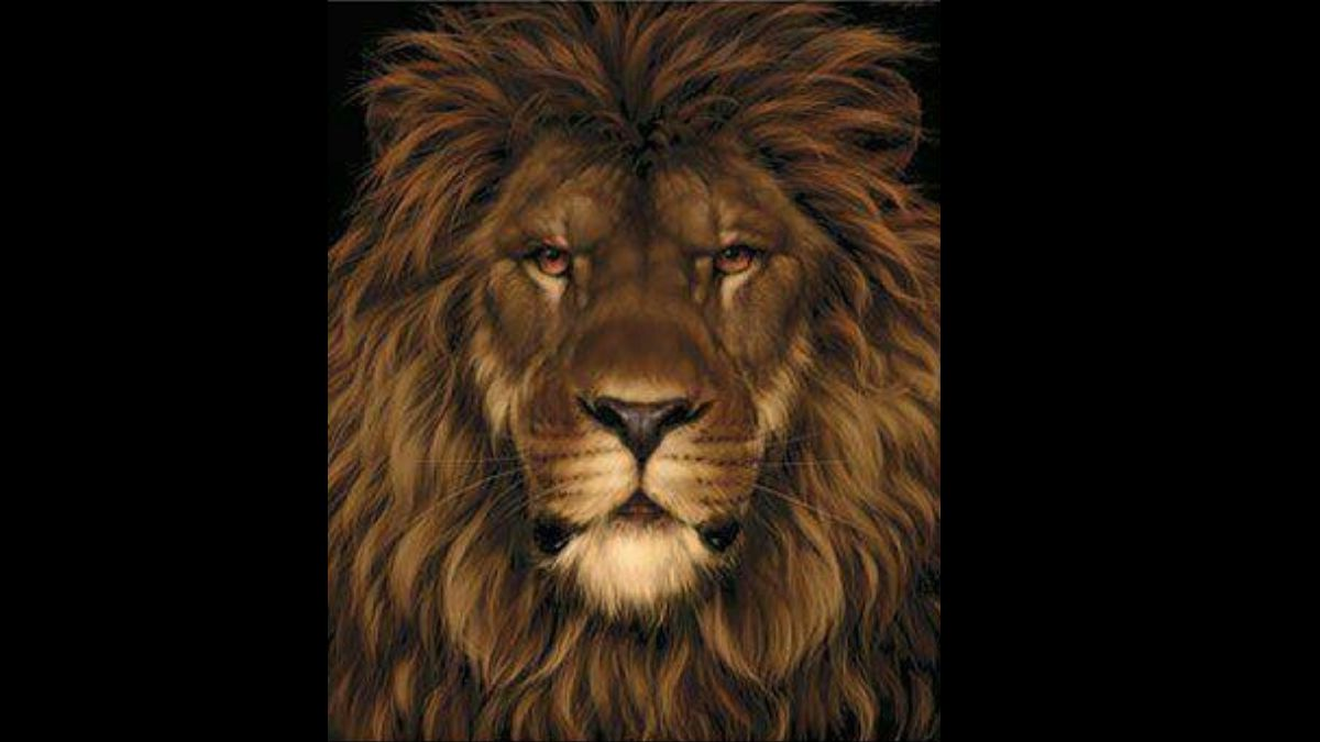 Найдите крысу: головоломка с неожиданным ответом