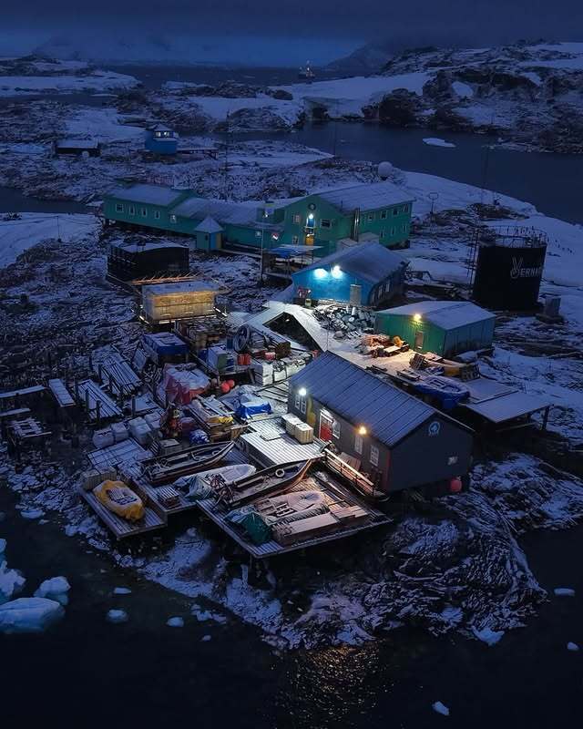 Россияне взбесились, а казахи учат украинский: "Антарктида" Птушкина произвела настоящий фурор далеко за пределами Украины