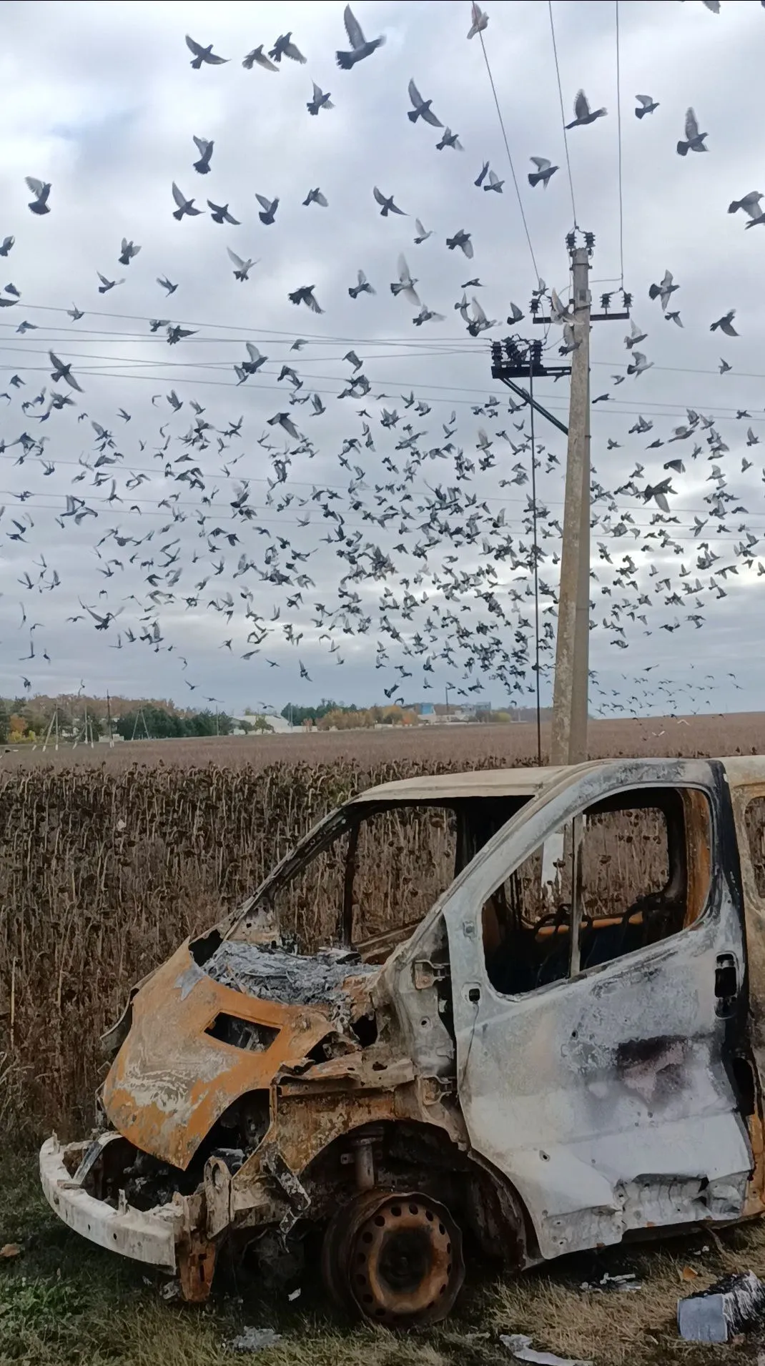 Боровся за Україну до кінця: на фронті загинув фотограф з Тернополя Юрій Костишин. Фото
