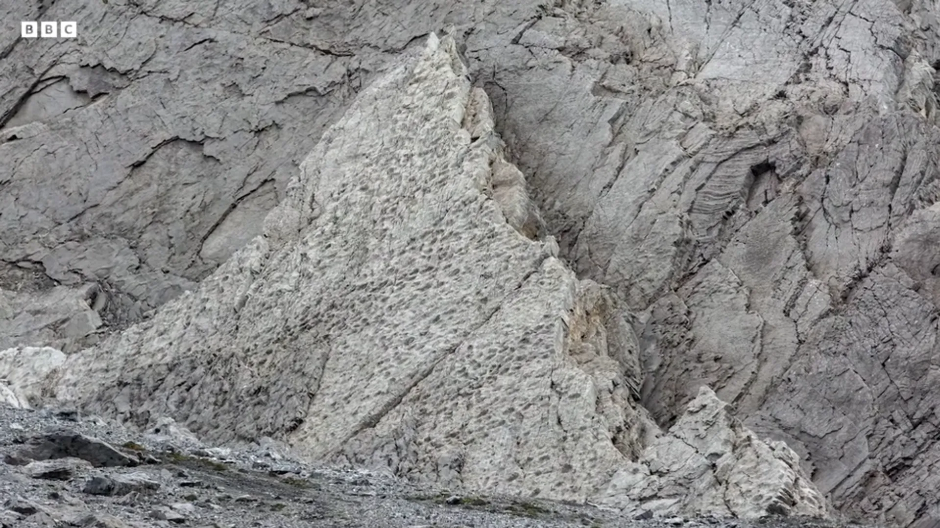 "Как мало мы знаем о местах, где живем": на севере Италии обнаружили тысячи следов динозавров триасового периода. Фото