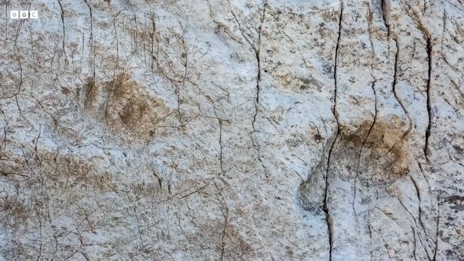 "Как мало мы знаем о местах, где живем": на севере Италии обнаружили тысячи следов динозавров триасового периода. Фото