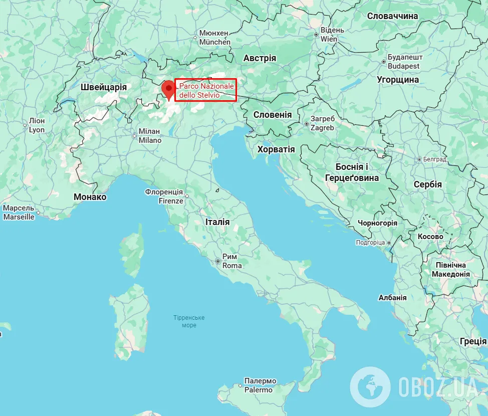 "Как мало мы знаем о местах, где живем": на севере Италии обнаружили тысячи следов динозавров триасового периода. Фото